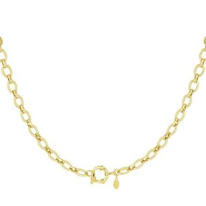 Ketting Saar – goud stainless steel