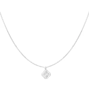 Ketting Kiki – zilver stainless steel